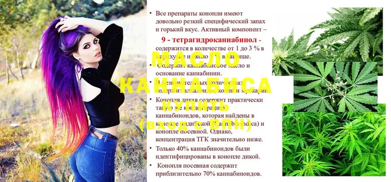 это состав  mega   Дистиллят ТГК THC oil  Новотроицк  где найти наркотики 